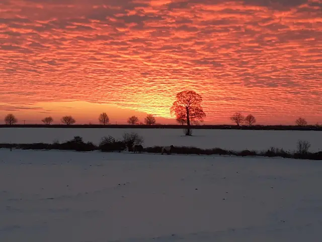 Cottesmore sunrise