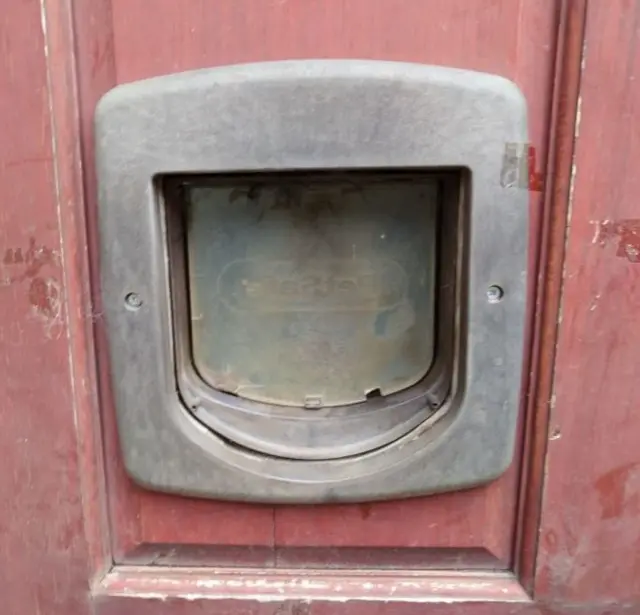 Cat flap