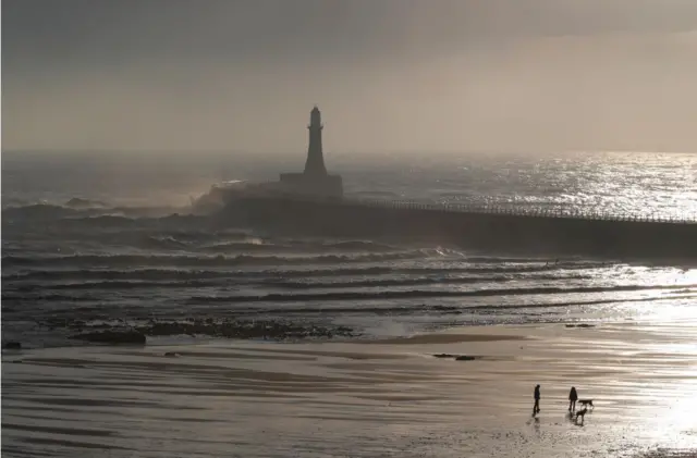 Dog walkers at Roker beach