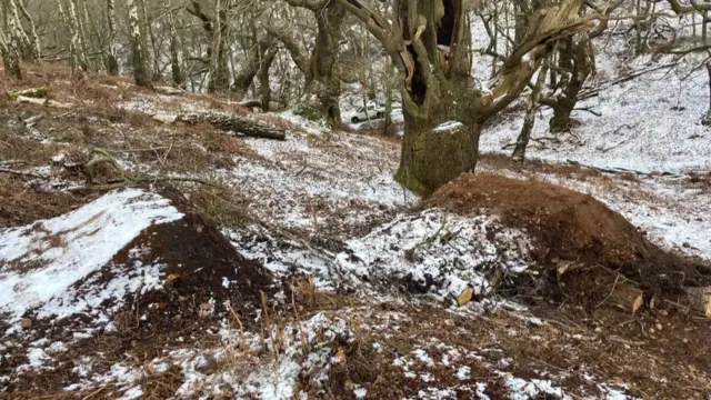 Two of the ramps created by digging out earth in Brocton Coppice