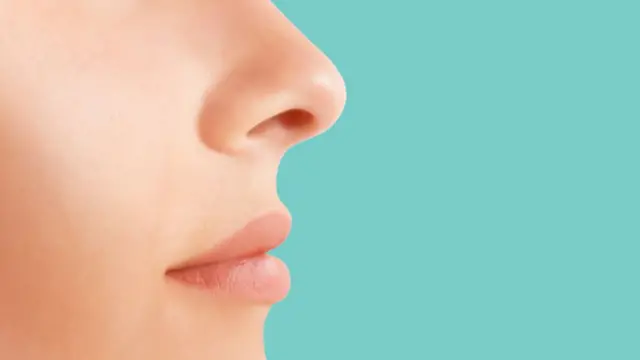 Stock image of a nose