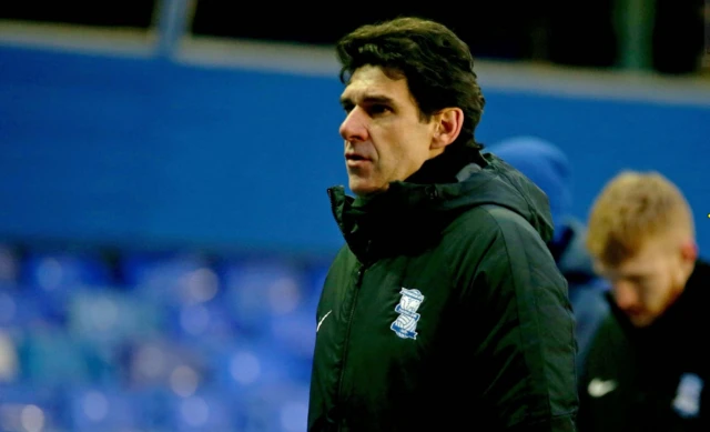 Birmingham City boss Aitor Karanka