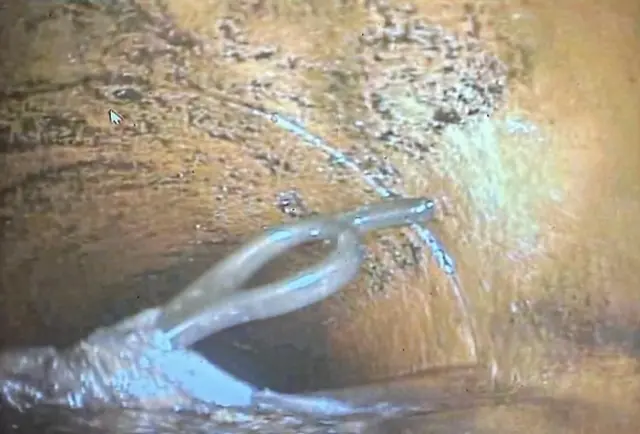 A pair of scissors in a drain