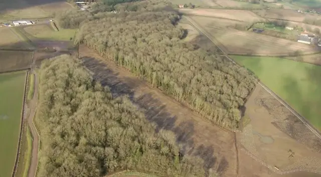 South Cubbington Wood