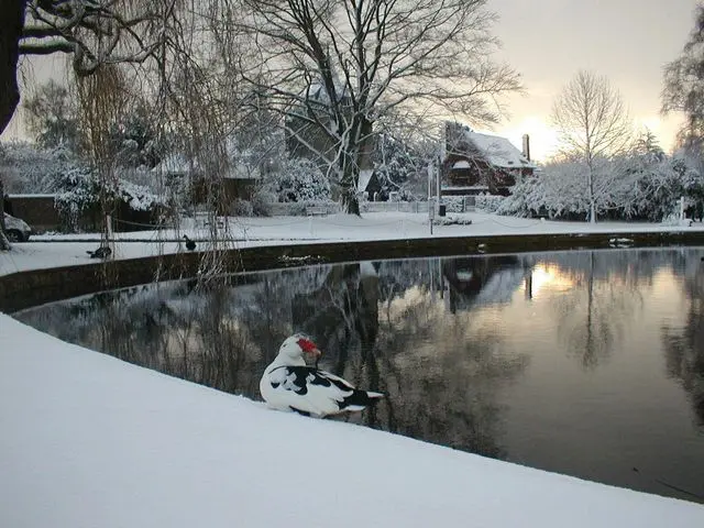 Snowy scene in Otford, Kent