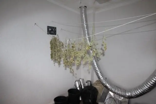 Cannabis grow found at a house in Blidworth, Nottinghamshire