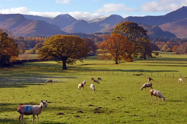 Lake District view near Keswick