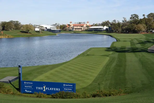 Sawgrass