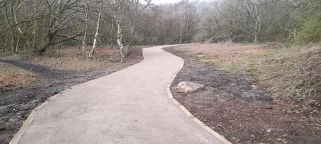 Path in Weston Woods