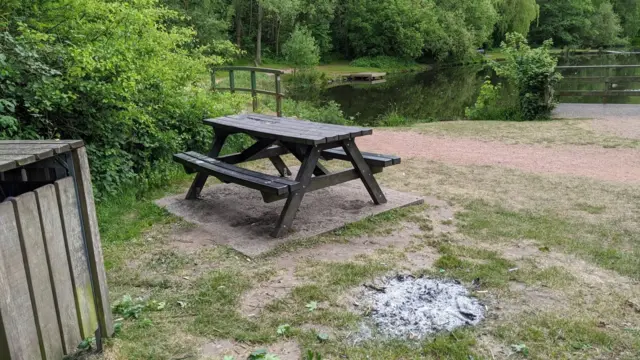 Fire damage at Vicar Water Country Park