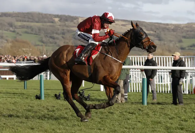 Tiger Roll at Cheltenham