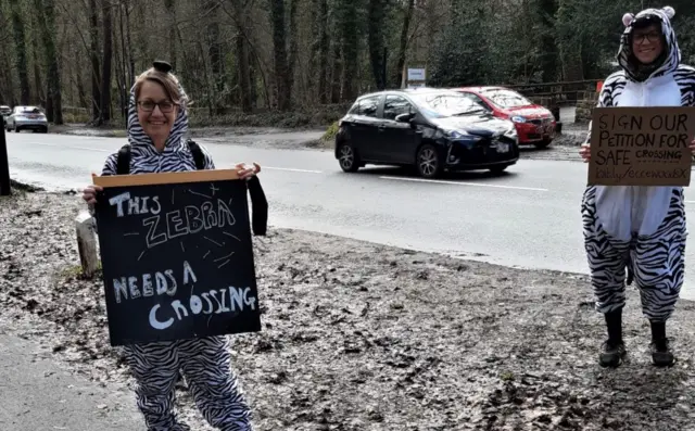 Sheffield campaigners dressed as zebras