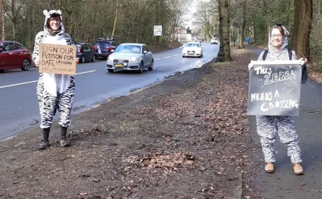 Sheffield campaigners dressed as zebras