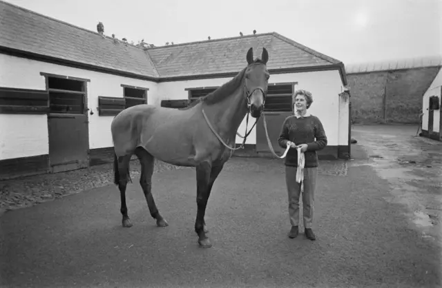 Arkle