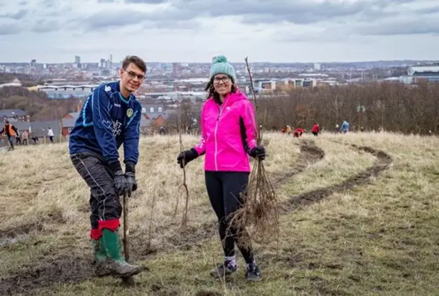 trees being planted by volunteers