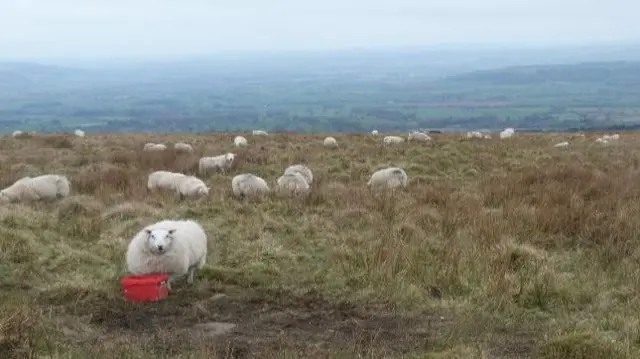 Clee Hill