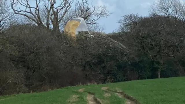 Parachute in tree