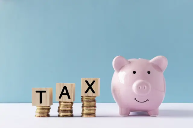 Tax and piggy bank