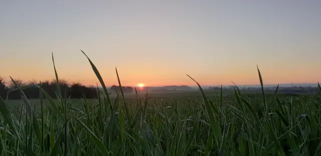 Cropwell Bishop sunrise