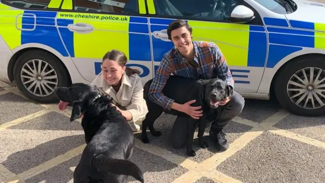 The dogs reunited with their owners