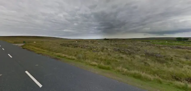 Sheep in field on moorland north of Danby