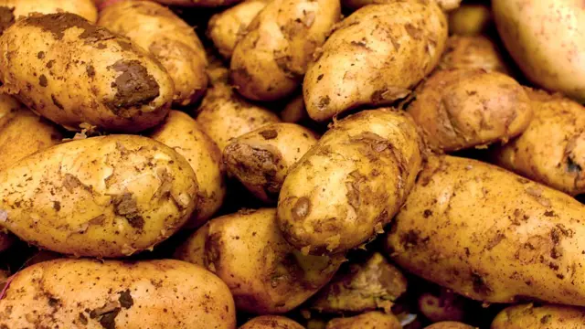 Unwashed potatoes