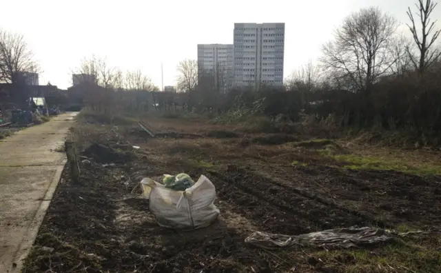 Land cleared by volunteers