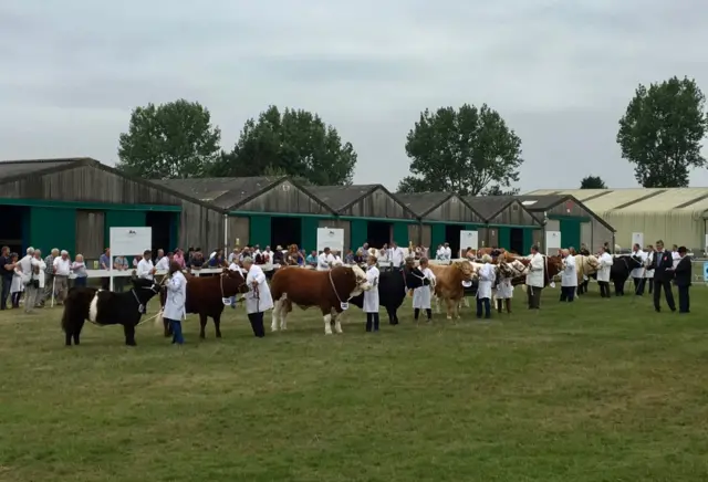 Lincolnshire Show