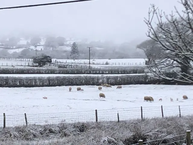 eira yn llanuwchllyn