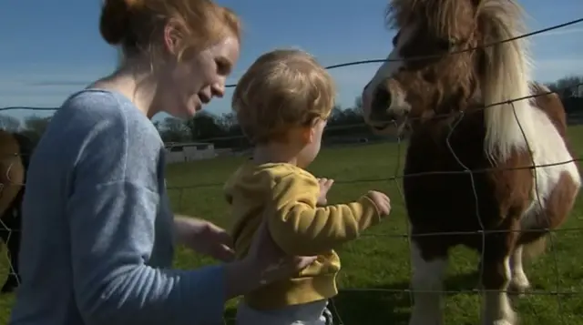 Child and pony at Northumberland County Zoo