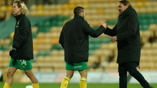 Daniel Farke Norwich promotion