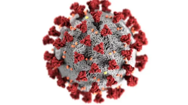 Coronavirus variant