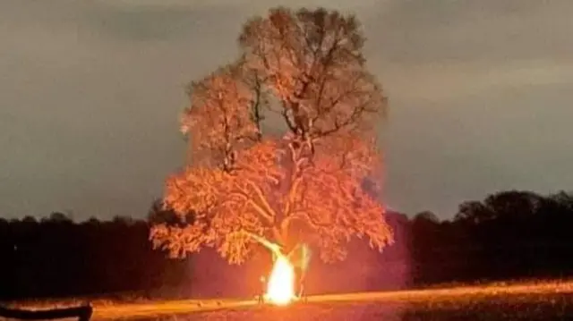 Fire in Chaddesden woods