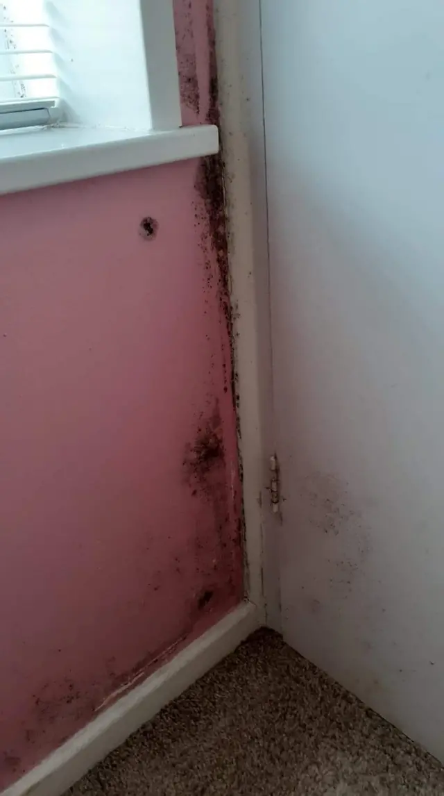 Mould in one of the flats