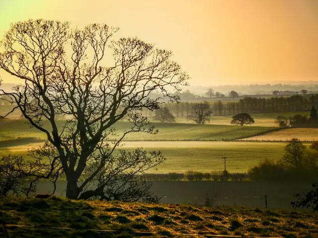 Stanton upon Hine Heath