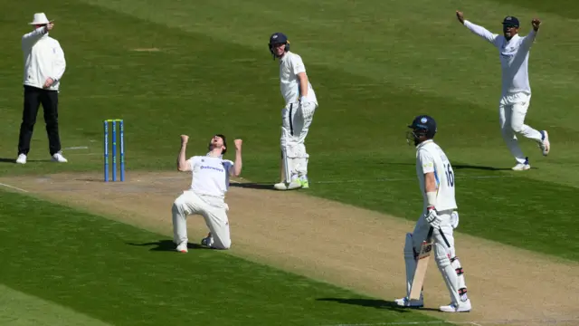 Joe Root wicket