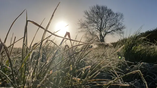 Cropwell Bishop