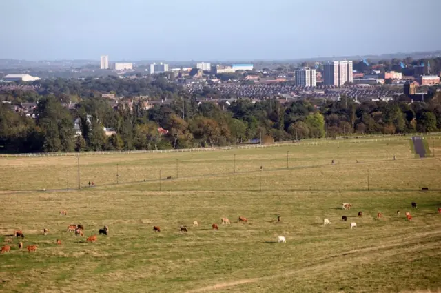 Newcastle Town Moor