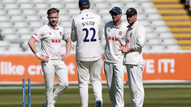 Essex celebrate wicket