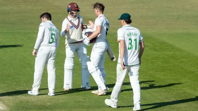 Somerset celebrate