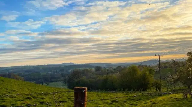 This morning in Bromyard, Herefordshire