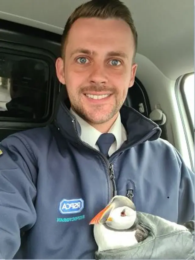 RSPCA Officer Shane Lynn with rescued puffin