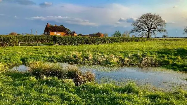 Fields near Stafford