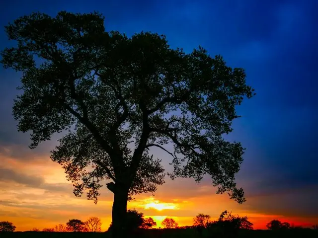 Sunrise in Shrewsbury