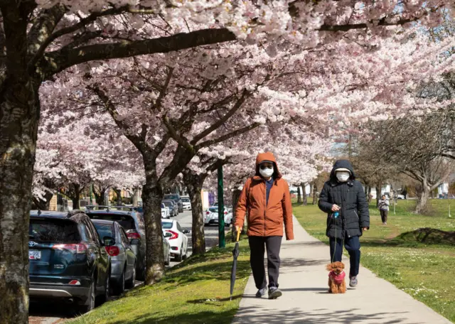 A man and a woman walk their dog in Vancouver