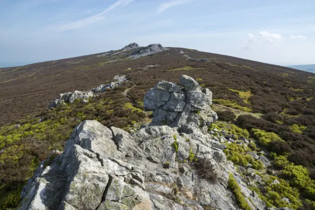 Stiperstones ridge in Shropshire