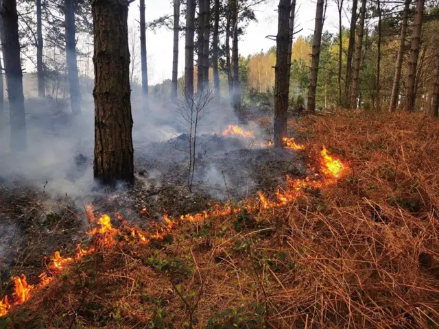 Fire near Warsop Windmill