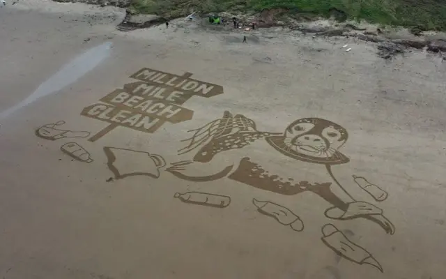 Sand drawing of a seal surrounded by plastic