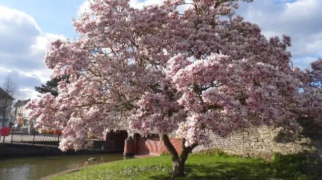 Stratford-upon-Avon