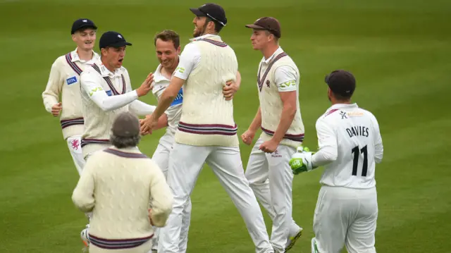 Somerset celebrate wicket